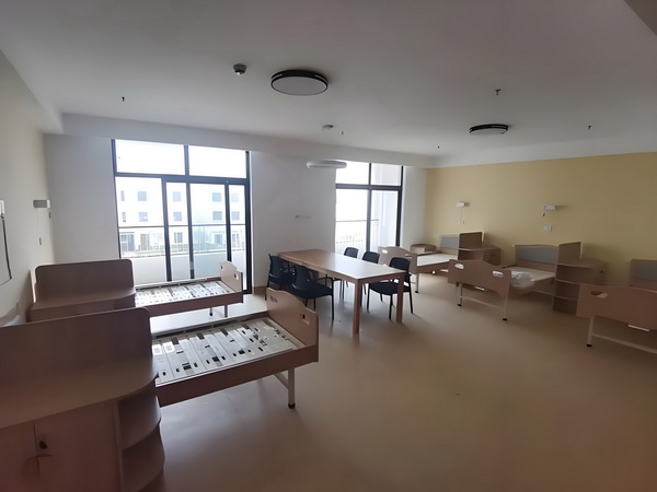 电子生涯