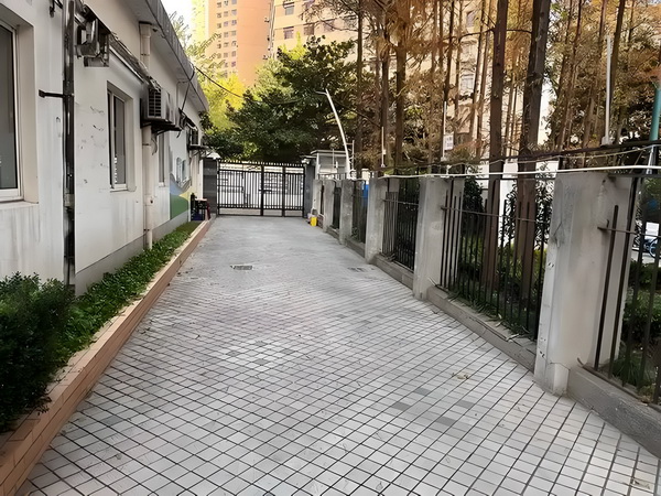 凤安天下