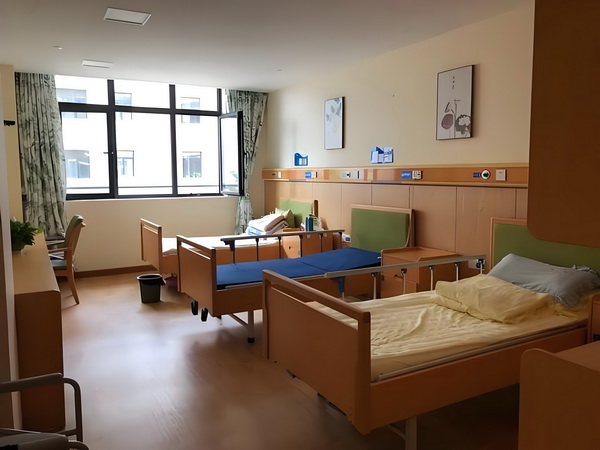 电子生涯